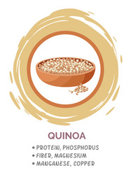 quinoa grains in bowl useful products when vector image