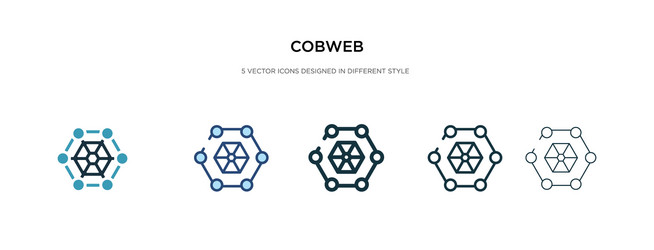 cobweb icon in different style two colored vector image