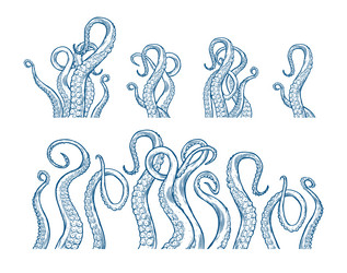Octopus tentacles Royalty Free Vector Image - VectorStock