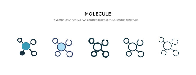 Molecule icon in different style two colored vector