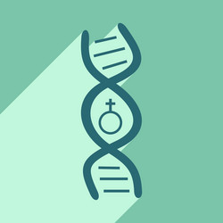 Flat with shadow icon and mobile application genes vector