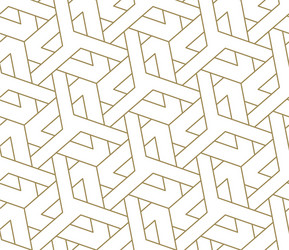 seamless pattern with abstract geometric line vector image