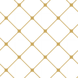 abstract geometric pattern with square lines vector image