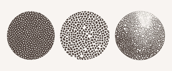 set abstract circle elements rounds for graphic vector image