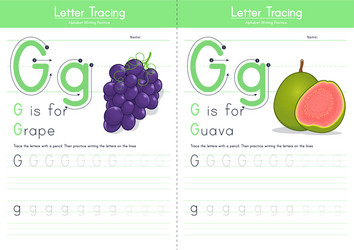 g for grape and guava vector image