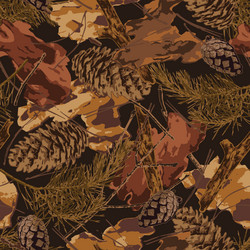 camouflage pattern with forest nature objects vector image