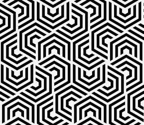 Geometric Hexagon Pattern vector image