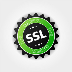 secure connection icon vector image