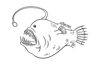 deep sea fish with light coloring Vector Image