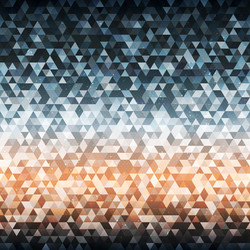 Geometric Triangle Pattern vector image