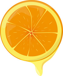 Photo-realistic orange slice Royalty Free Vector Image