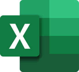 Microsoft Excel Icon vector image