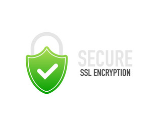 secure connection icon vector image