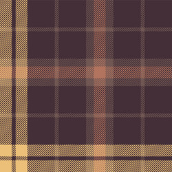 autumn plaid pattern vector image