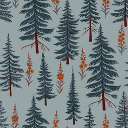 drawing seamless pattern with fir trees vector image