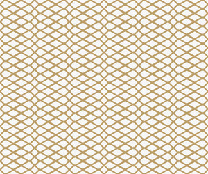 abstract geometric pattern with lines a seamless vector image