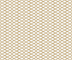 Abstract geometric pattern with lines a seamless vector