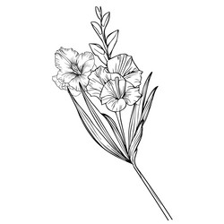 August Birth Flower Vector Images (42)