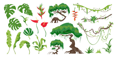 Isolated jungle plants set design elements Vector Image
