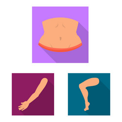 isolated object body and part logo set vector image