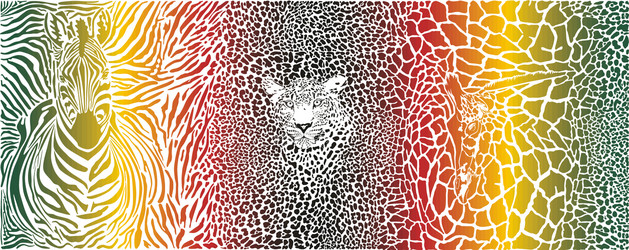 Zebra Leopard Animal Print Pattern Background vector image