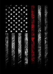 USA Firefighter Thin Red Line Flag Vector Image