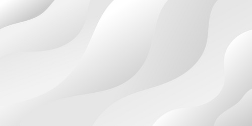 abstract white background with gray dynamic curve vector image