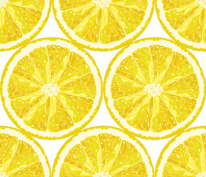 Seamless pattern from lemon slices citrus vector