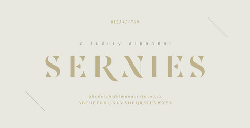 elegant alphabet letters font and number classic vector