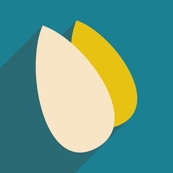 flat with shadow icon and mobile application vector image