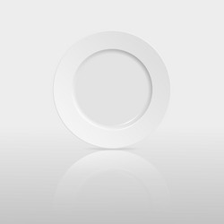 empty plate with reflection on white background vector