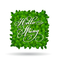 Hello spring greeting in squar shape vector