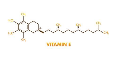 molecule tocopherol vitamin e icon for medical vector