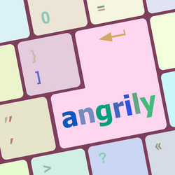 angrily button on modern computer keyboard key vector image