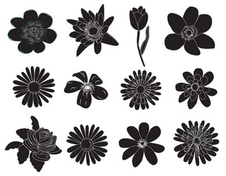 set of flower icons vector