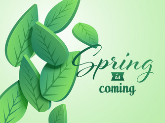 spring is coming font with 3d leaves on glossy vector