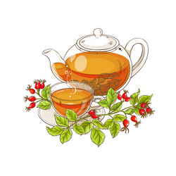 wild rose tea on white background Vector Image