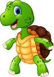 Cute turtle cartoon posing Royalty Free Vector Image
