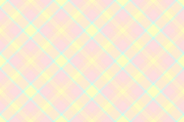 summertime fabric texture pattern woven check vector image