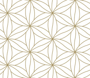 seamless pattern with abstract geometric line vector image