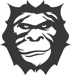 Gorilla Face Logo Template Vector Image