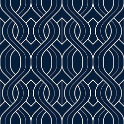 abstract geometric pattern with lines vector image