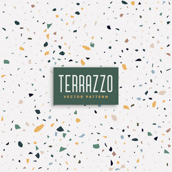 Terrazzo Floor Texture Pattern vector image