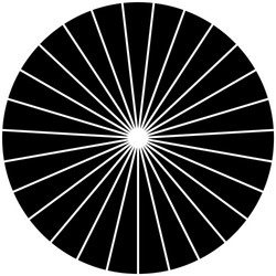 segmented circle pie graph chart infographics vector image