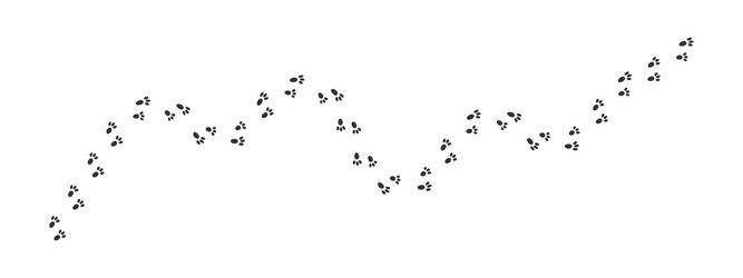 bunny pawprints waving track hare feet steps wet Vector Image