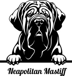 Neapolitan Mastiff Head - Peeking Dog Vector Image