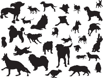 Dog Silhouettes Collection Vector Image