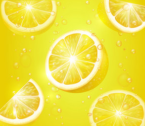 Lemon Slice Background with Bubbles vector image