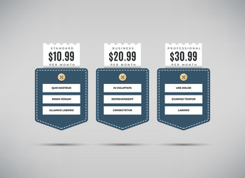 Web pricing table with comparison of business vector