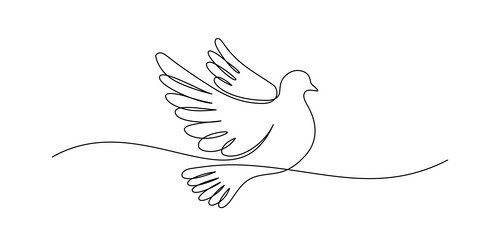 white dove in one continuous line drawing bird vector image